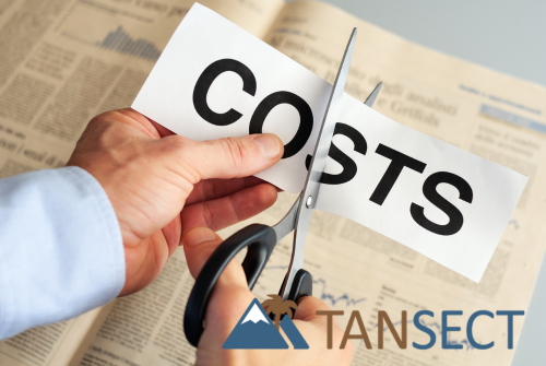 Tansect Consulting Provides Customers A 2,200% Return On Consulting Fees